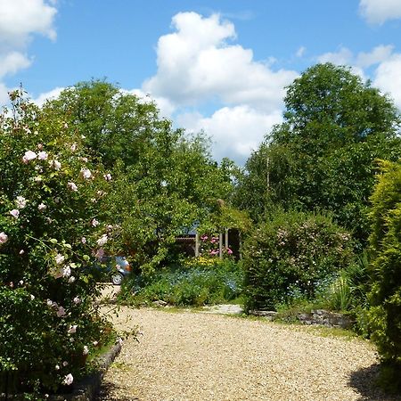 Sleepy Hollow Cottages Somerton  Exteriör bild