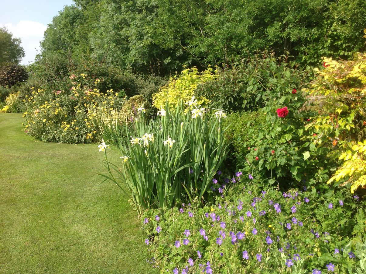 Sleepy Hollow Cottages Somerton  Exteriör bild